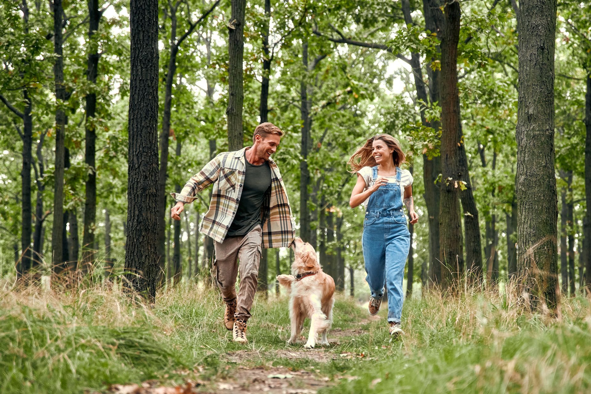 Two people walking a dog on a forest trail, with tall green trees and grass around them.