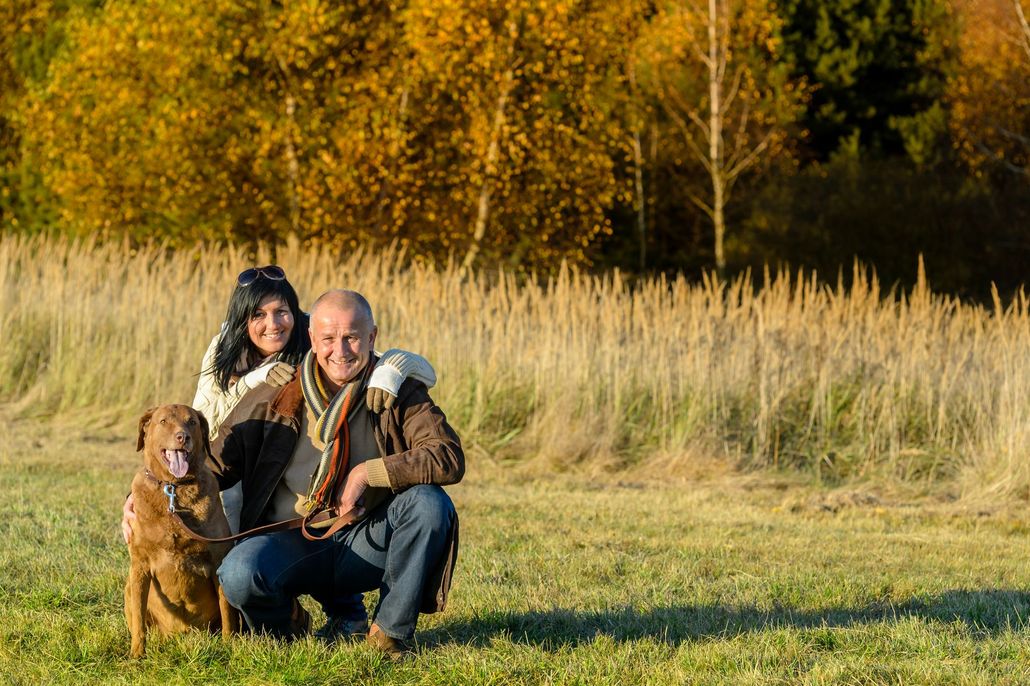 Man kneels with two dogs in a sunny grassy field with tall golden trees in the background