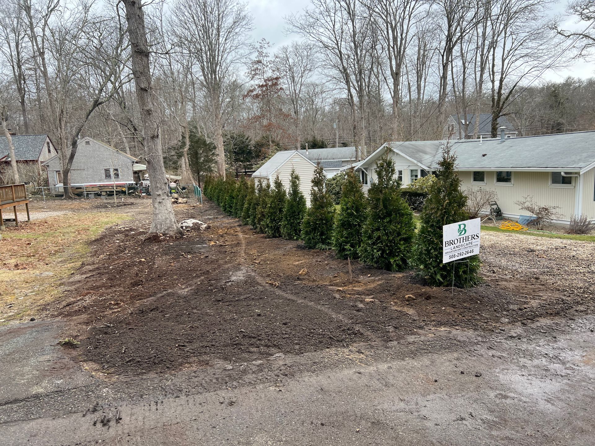 A row of trees in a yard next to a house
