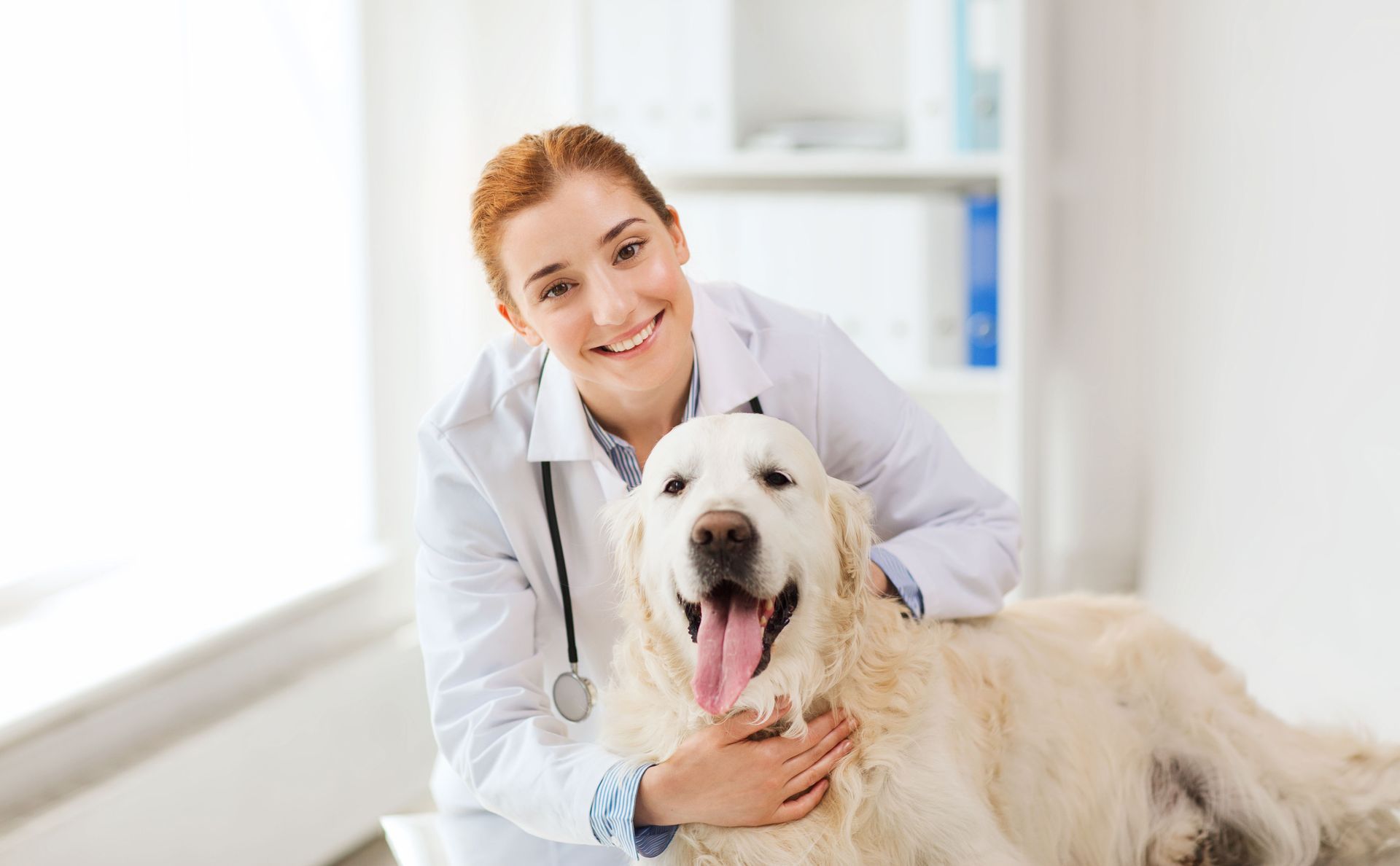 Veterinarian smiling with golden retriever dog in an exam room.