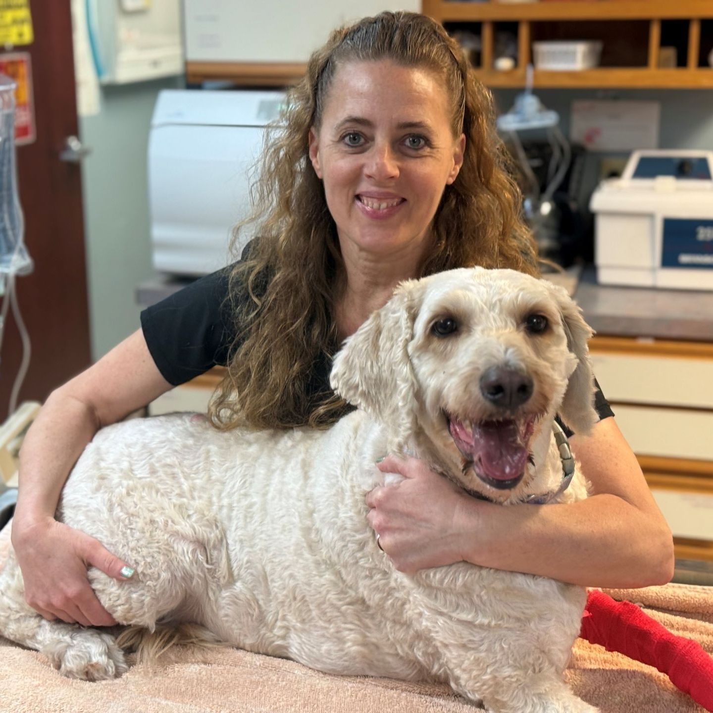 Woman smiles while hugging a cream-colored dog; both in an office setting.