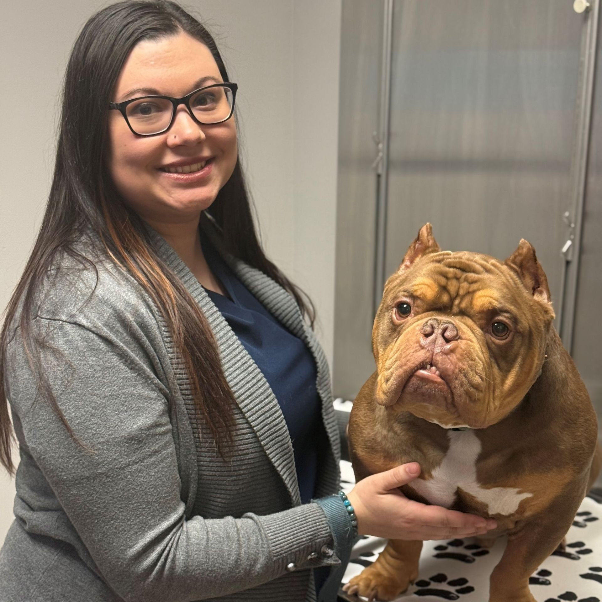 Woman in glasses smiles next to a brown and white bulldog. They stand in a clinical setting.