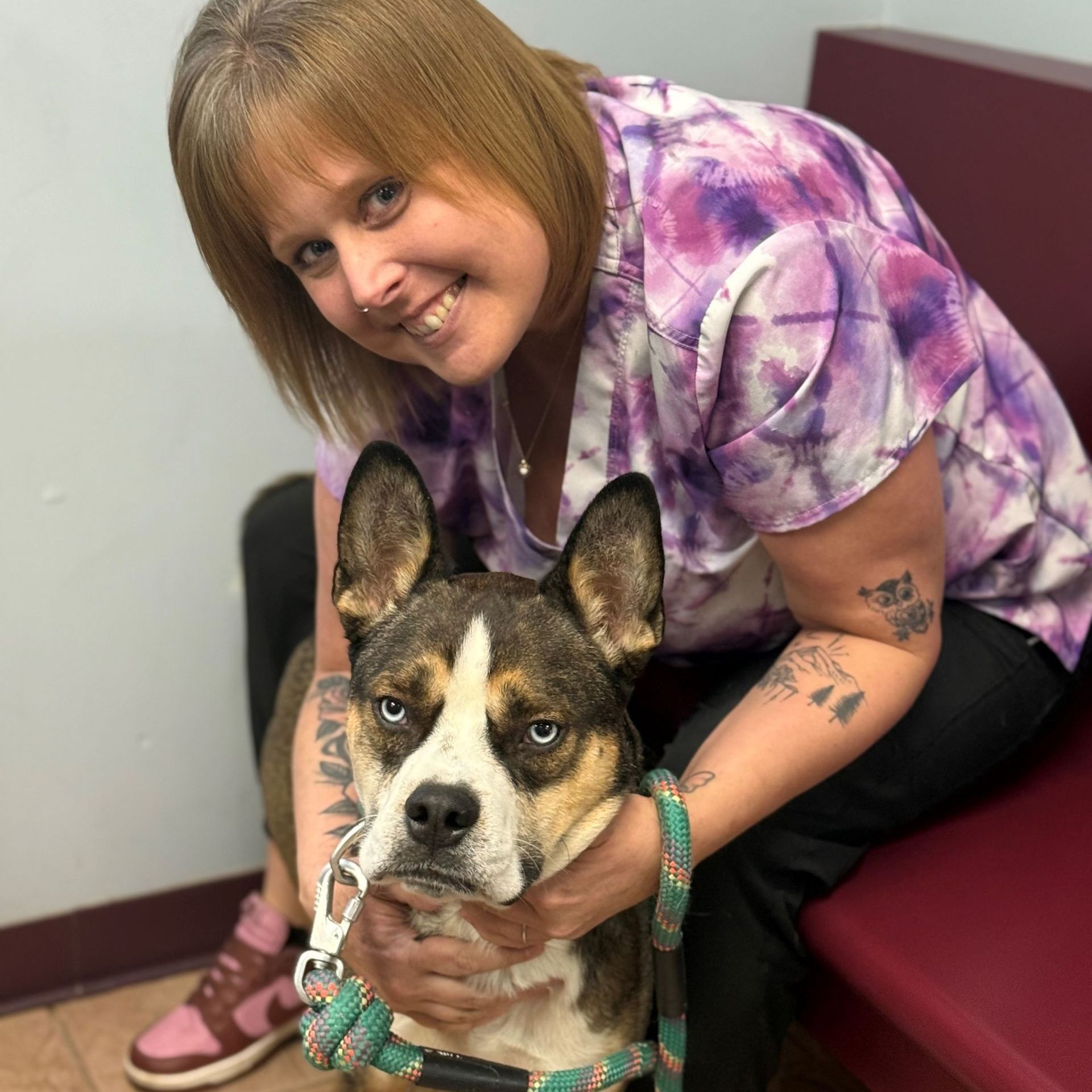 Woman with dog. Woman smiles, petting dog. Dog has brown and white fur, looking at camera. Indoors.
