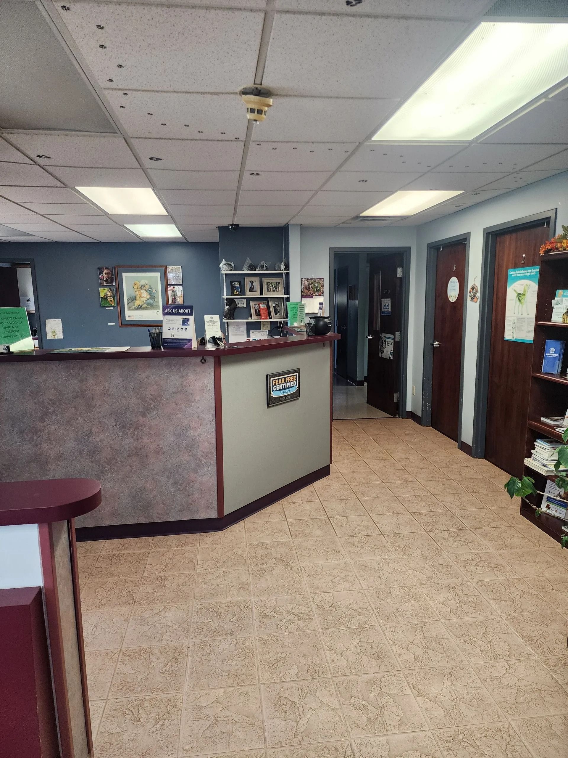 Reception area with counter, doors, and shelves. Light brown flooring, blue wall, and white ceiling.