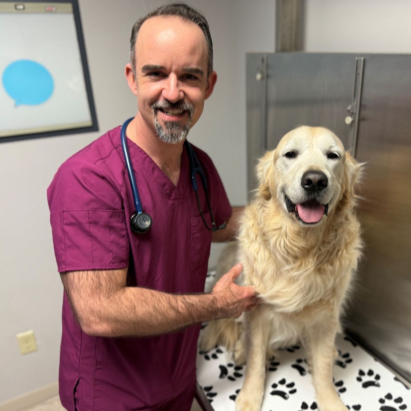 Veterinarian in burgundy scrubs smiles at a Golden Retriever on an exam table with paw prints.