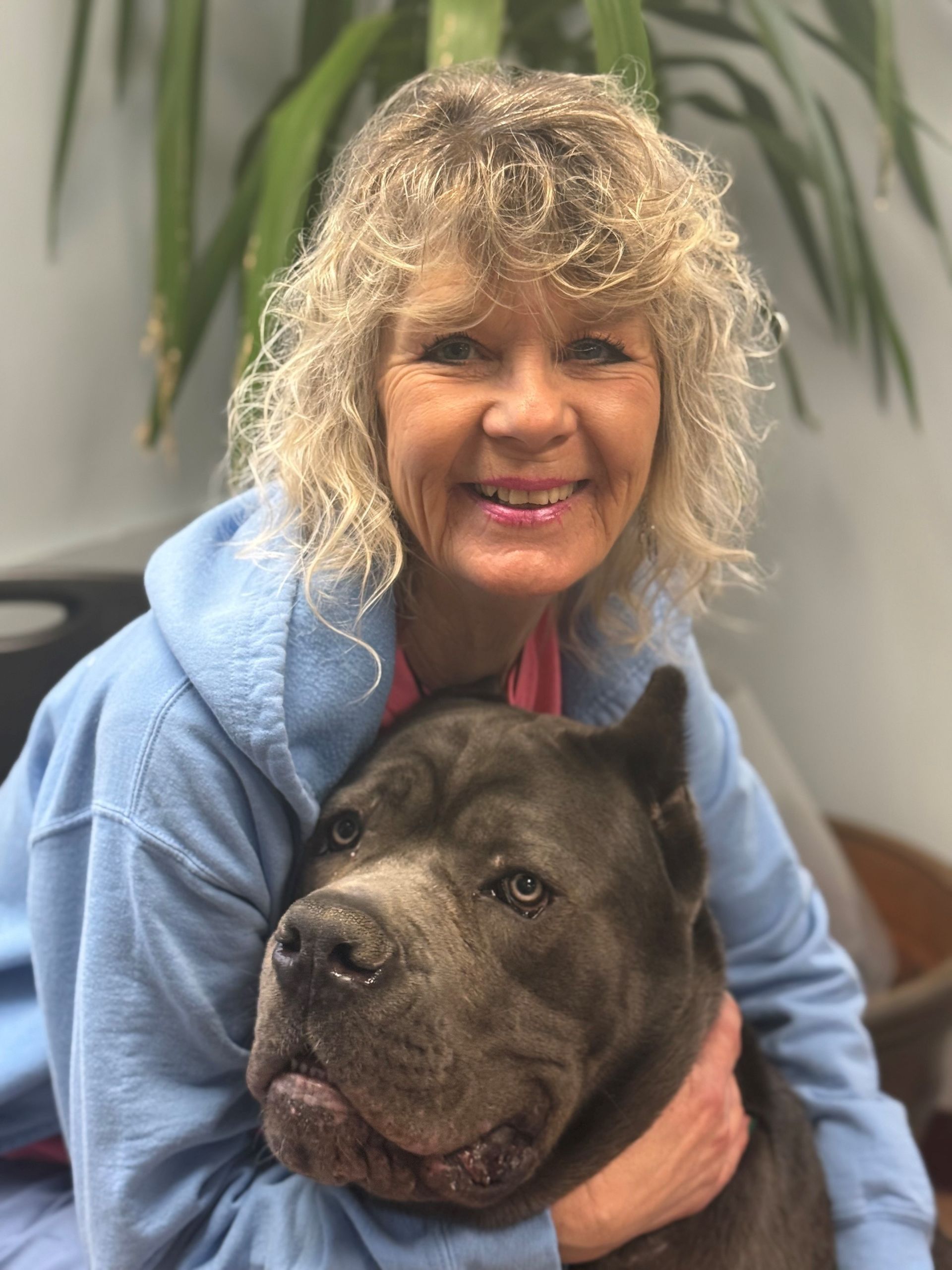 Woman in blue hoodie smiling, hugging large gray dog.