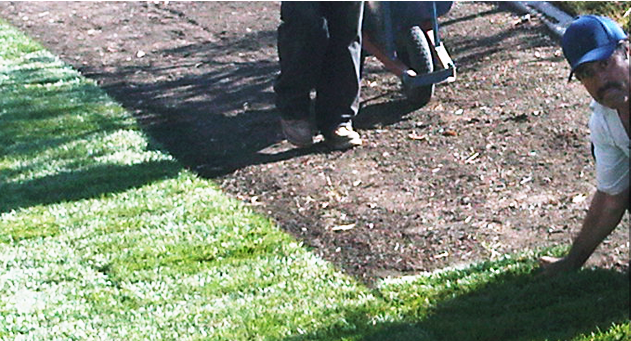 Landscape construction