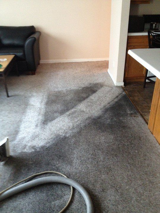 Carpet cleaning