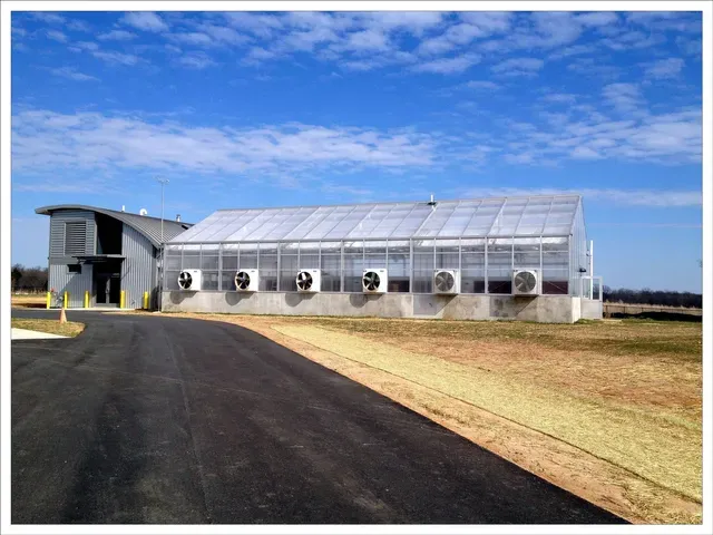 Cleaning Services for New Construction Buildings