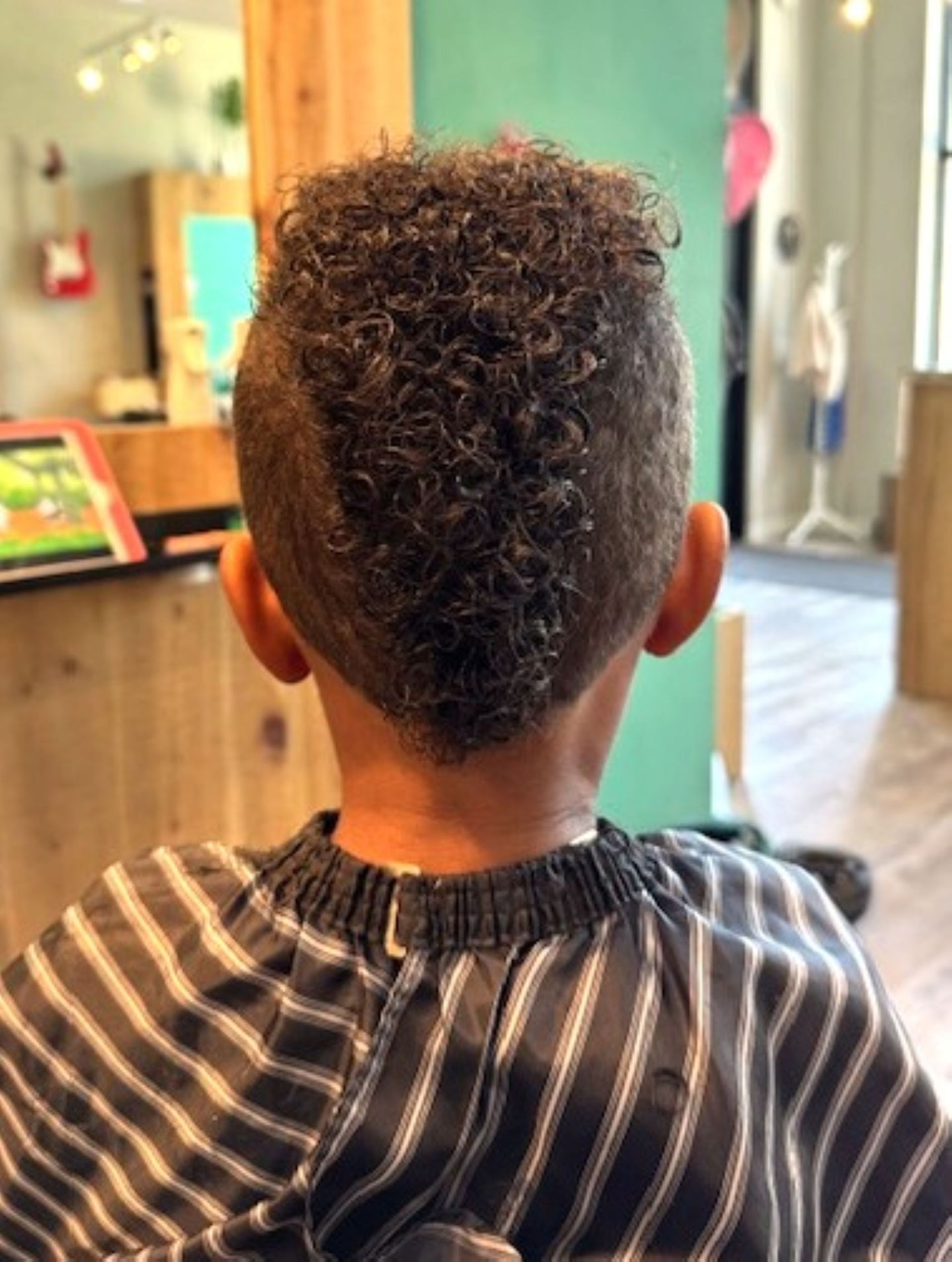 A young boy with curly hair is getting his hair cut by a barber