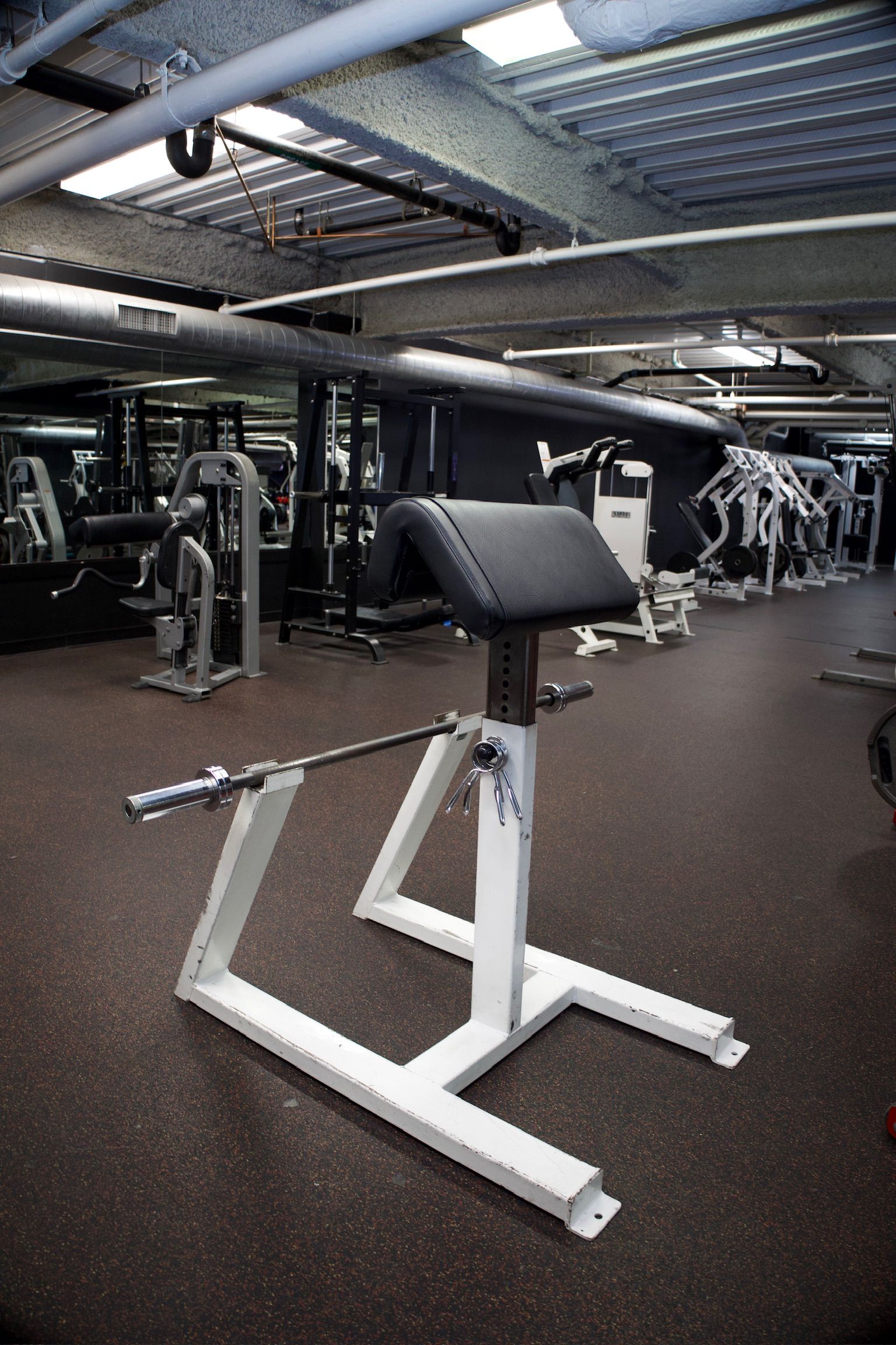 A preacher curl bench with a barbell in a gym setting.