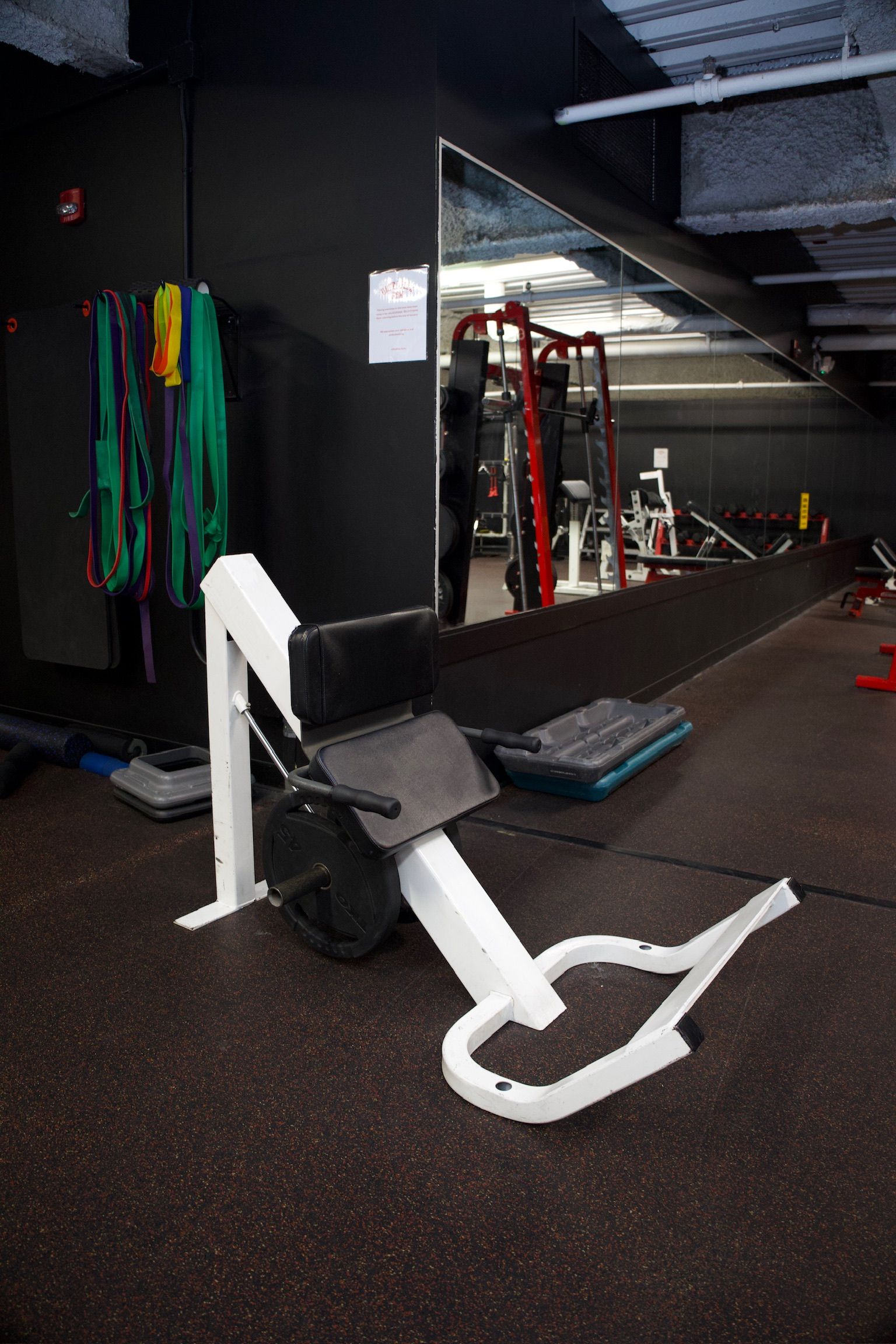 White and black back extension machine in a gym setting.