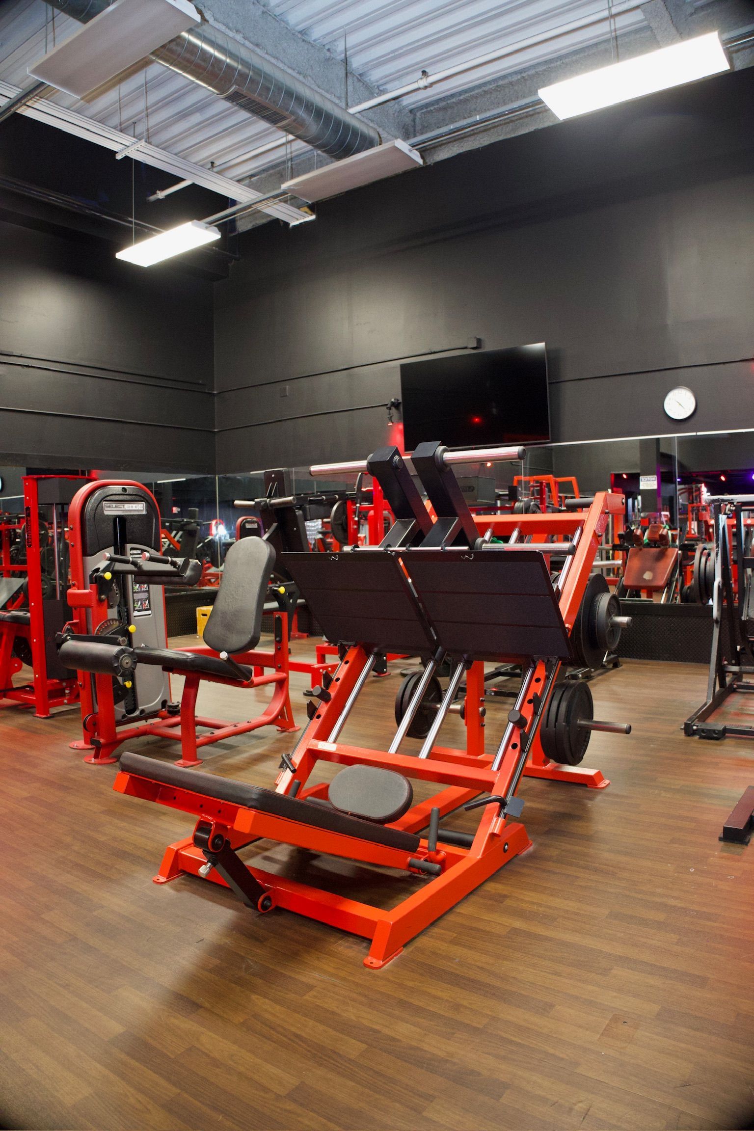 Red and black gym equipment in a brightly lit gym. Leg press machine in foreground, other machines in background.