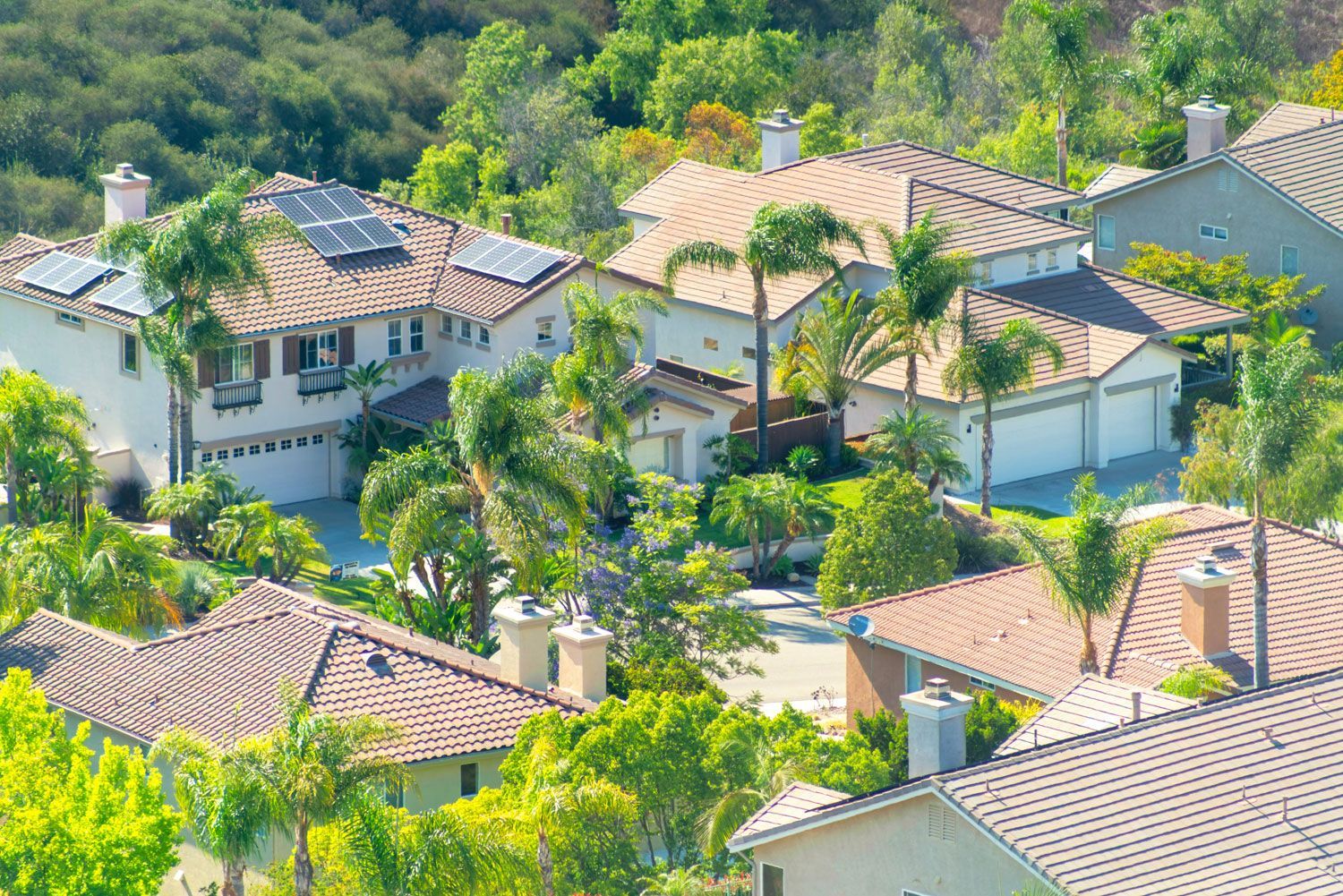 Protecting Your Palm Beach Home with Expert Roof Repair