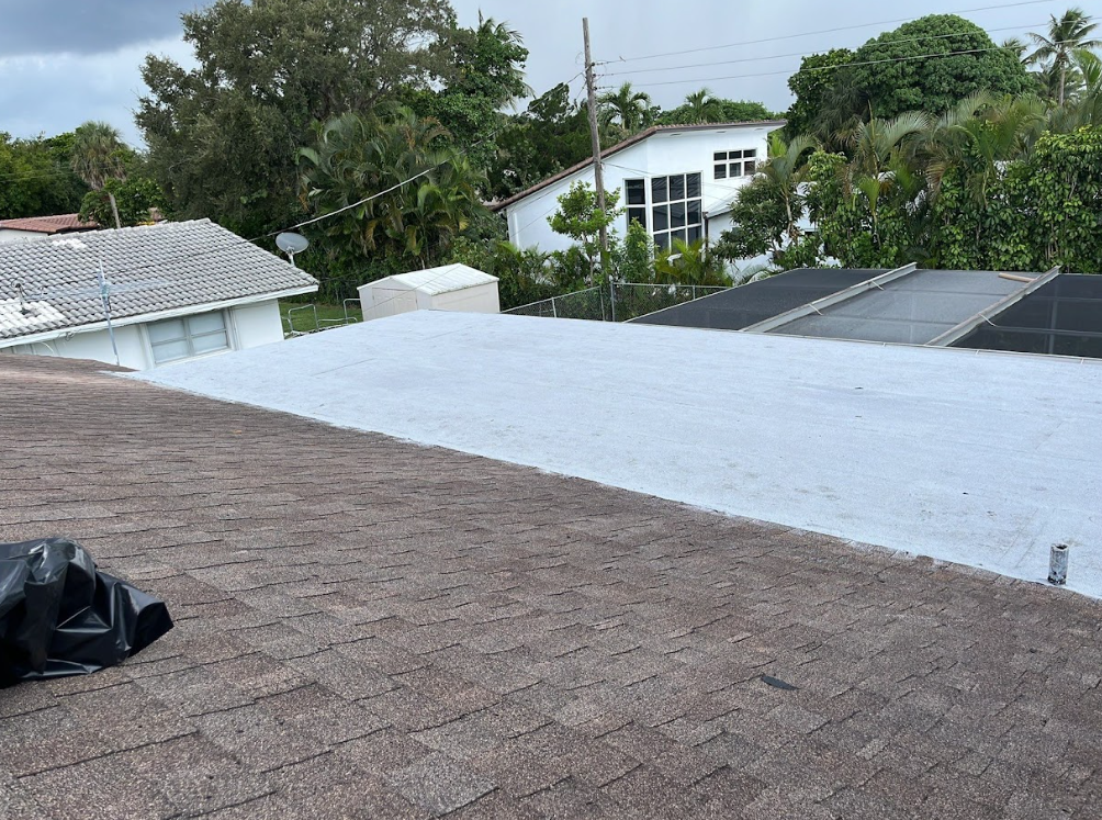 The roof of a house has been painted white