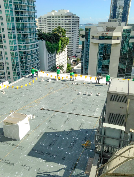 A group of people are working on the roof of a building