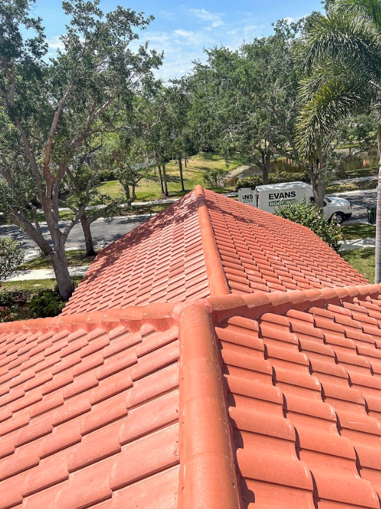 A close up of a red tile roof with trees in the background