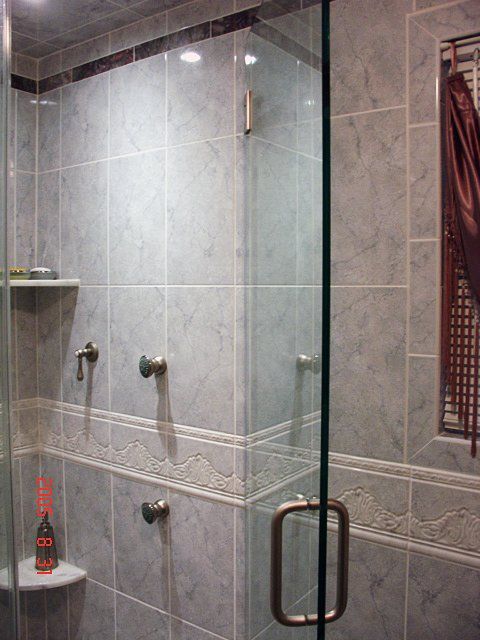 Shower door