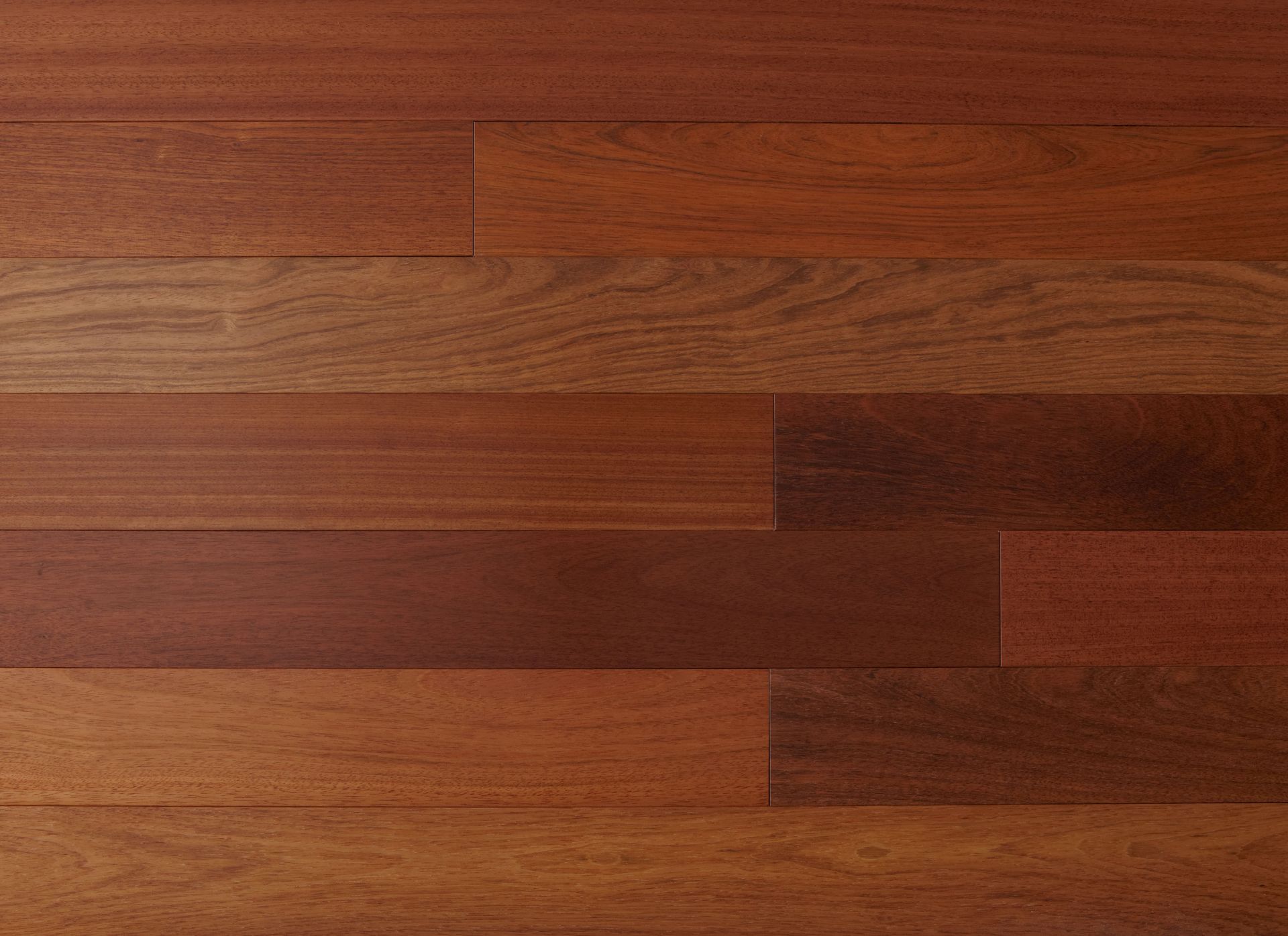 Brazilian Cherry Select & Better