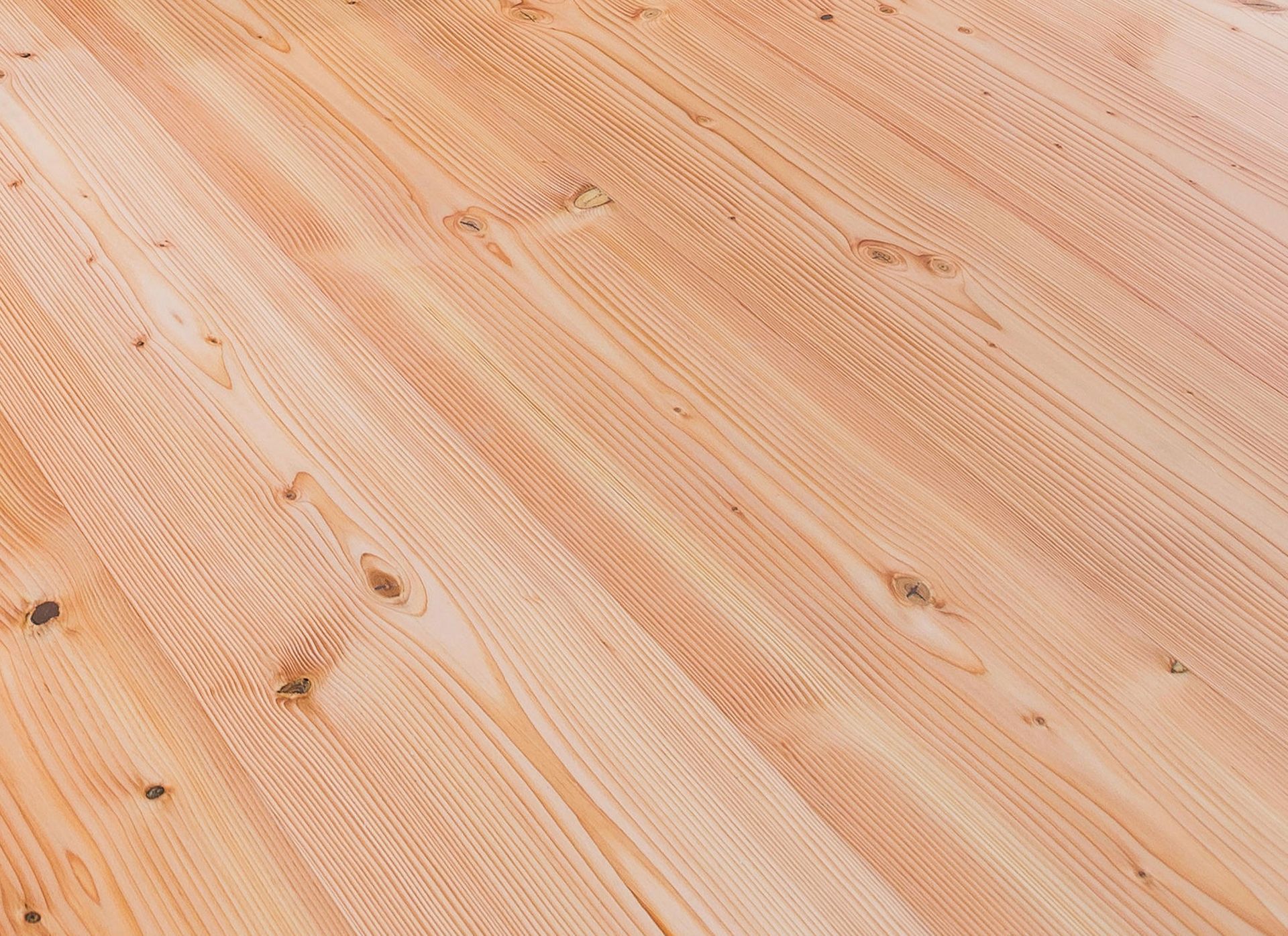 Douglas Fir