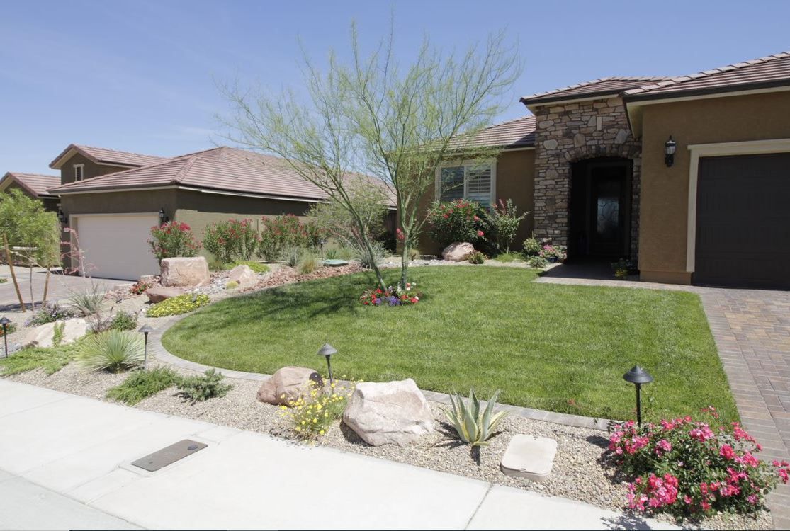 Landscape Maintenance_