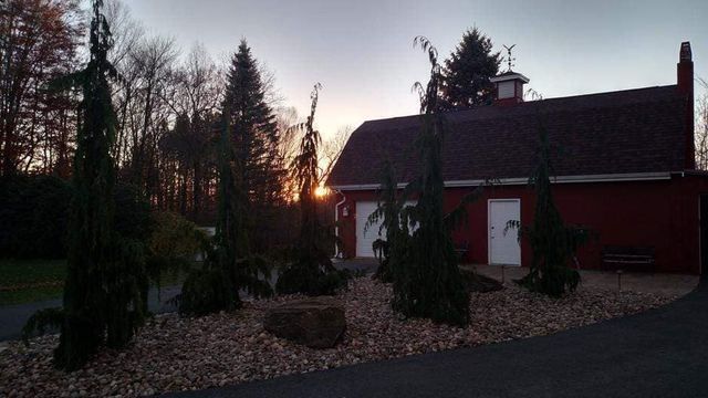 A red barn with a lot of trees in front of it