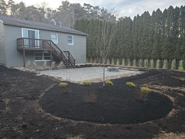 A house with a patio and a tree in the backyard