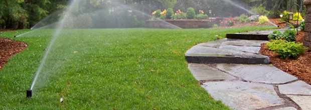 A lawn sprinkler is spraying water on a lush green lawn next to a stone walkway.