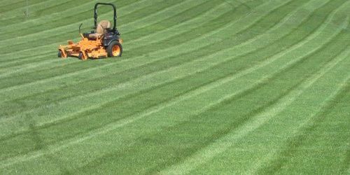 A person is riding a lawn mower on a lush green field.
