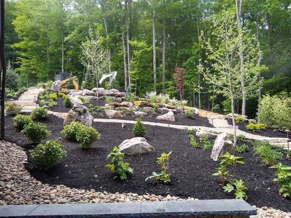A lush green garden with trees and rocks in the background