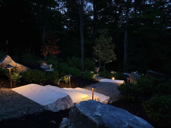 A garden with rocks and trees is lit up at night.