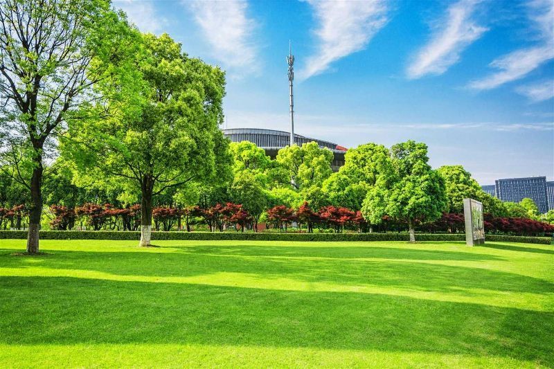 A lush green park filled with trees and grass on a sunny day.