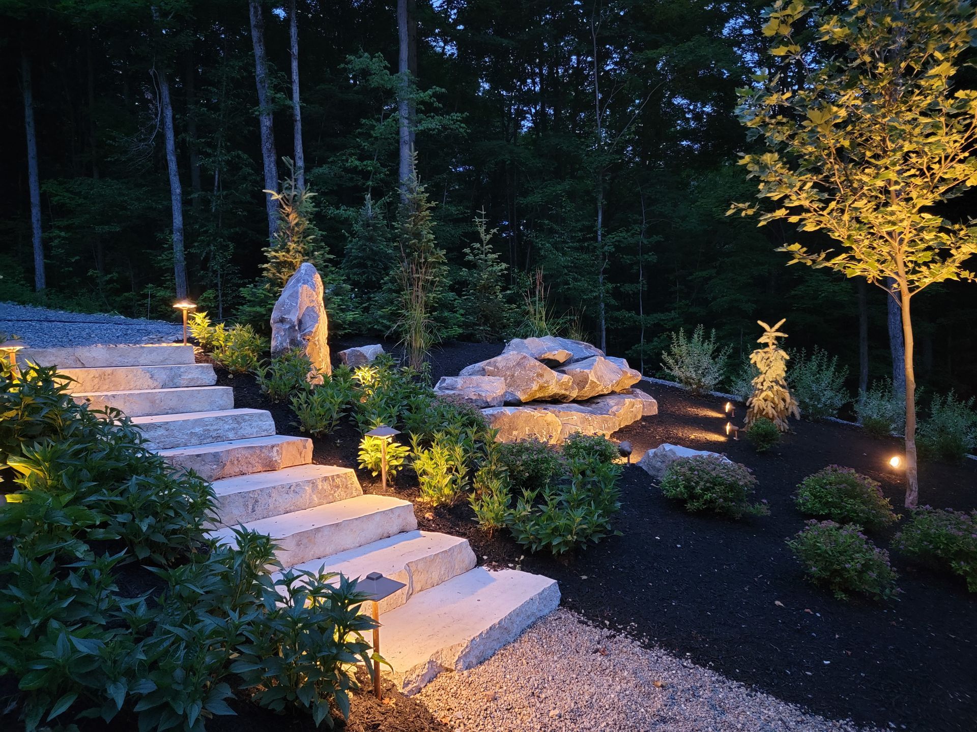 A set of stairs leading up to a lush green forest at night.