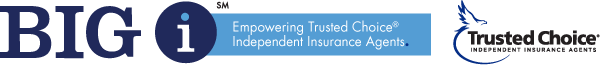 a blue and white logo for big g and trusted choice