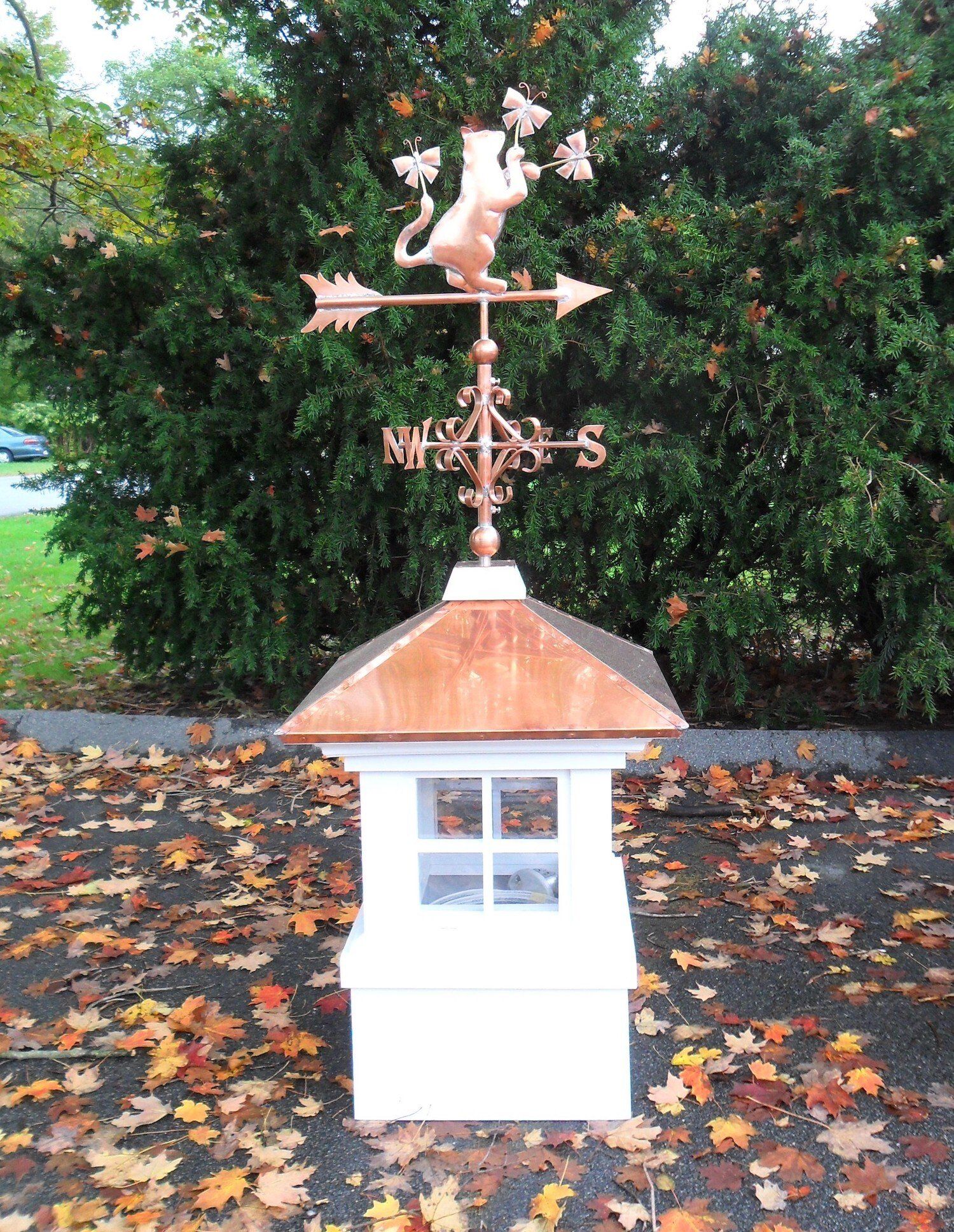 Custom cupolas