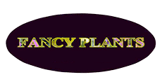 Fancy Plants - Logo