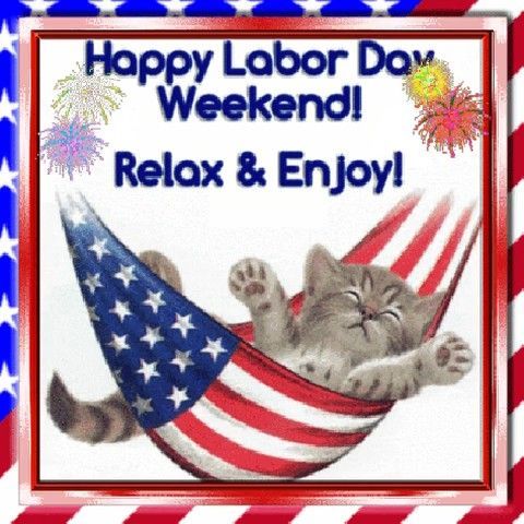 A kitten relaxing in an American flag hammock. Text says