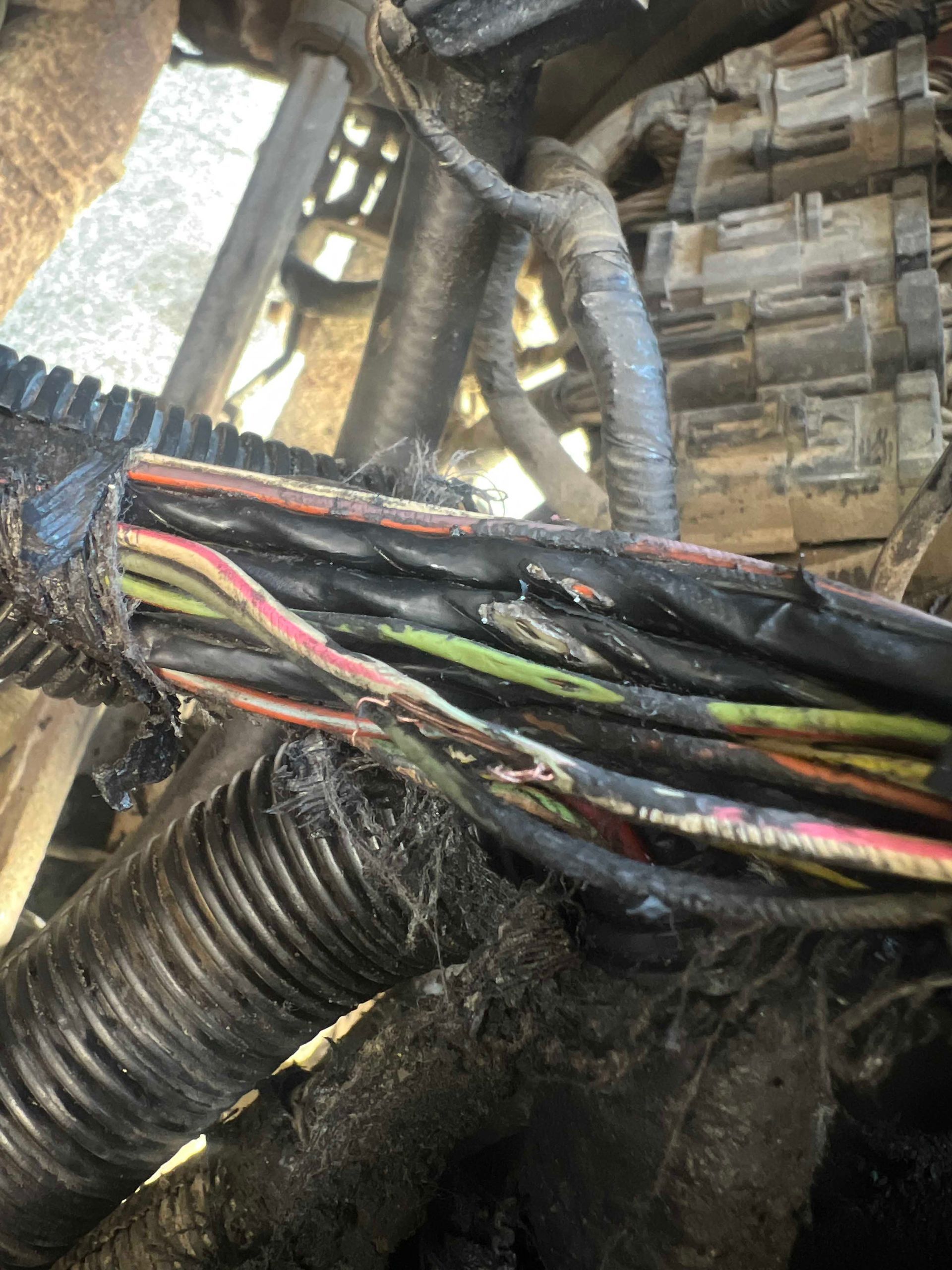 Damaged vehicle wiring harness with exposed colored wires and protective covering removed.