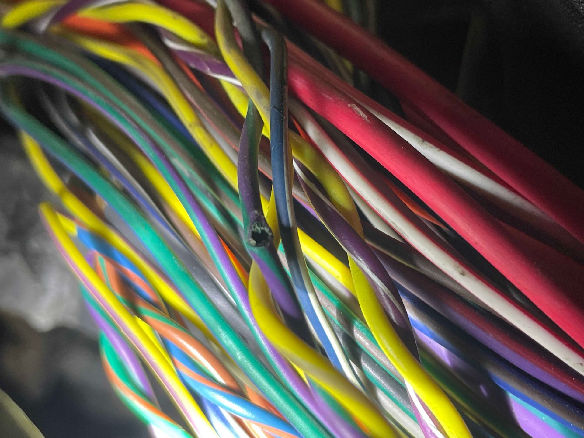 Bundle of multicolored electrical wires, one wire has a damaged covering.