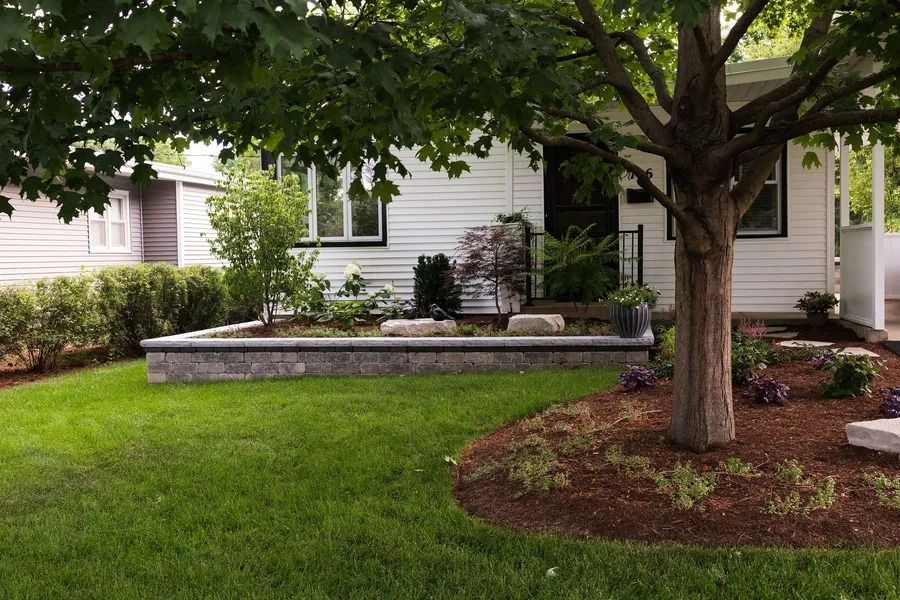 Green lawn with flower bed in front of a white house, tree in the right foreground.