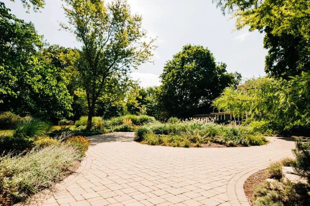 Stone pathway in a sunny garden, surrounded by green plants, trees, and a wooden structure.