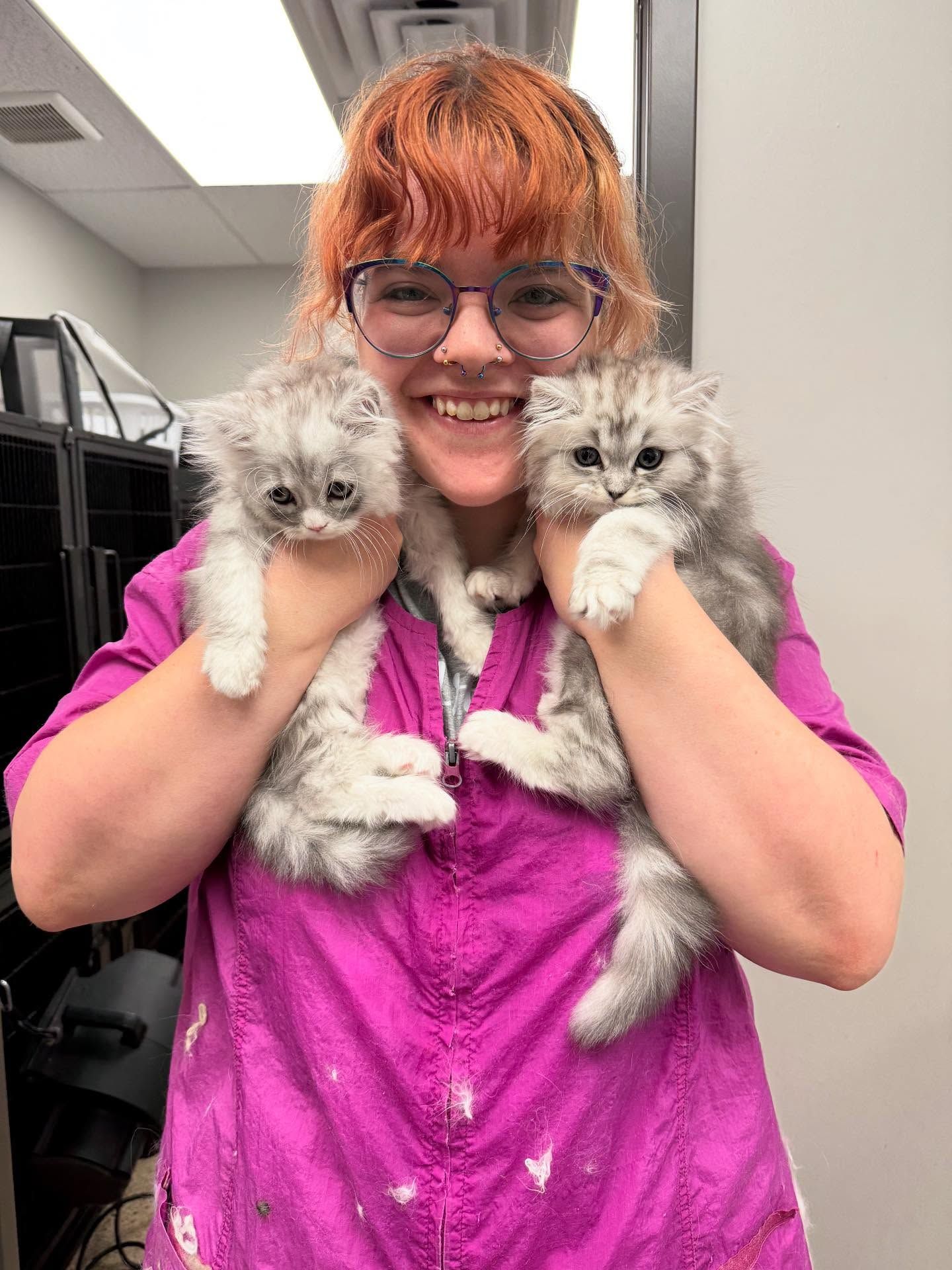 Woman in pink scrubs smiles, holding two fluffy gray kittens in an office setting.