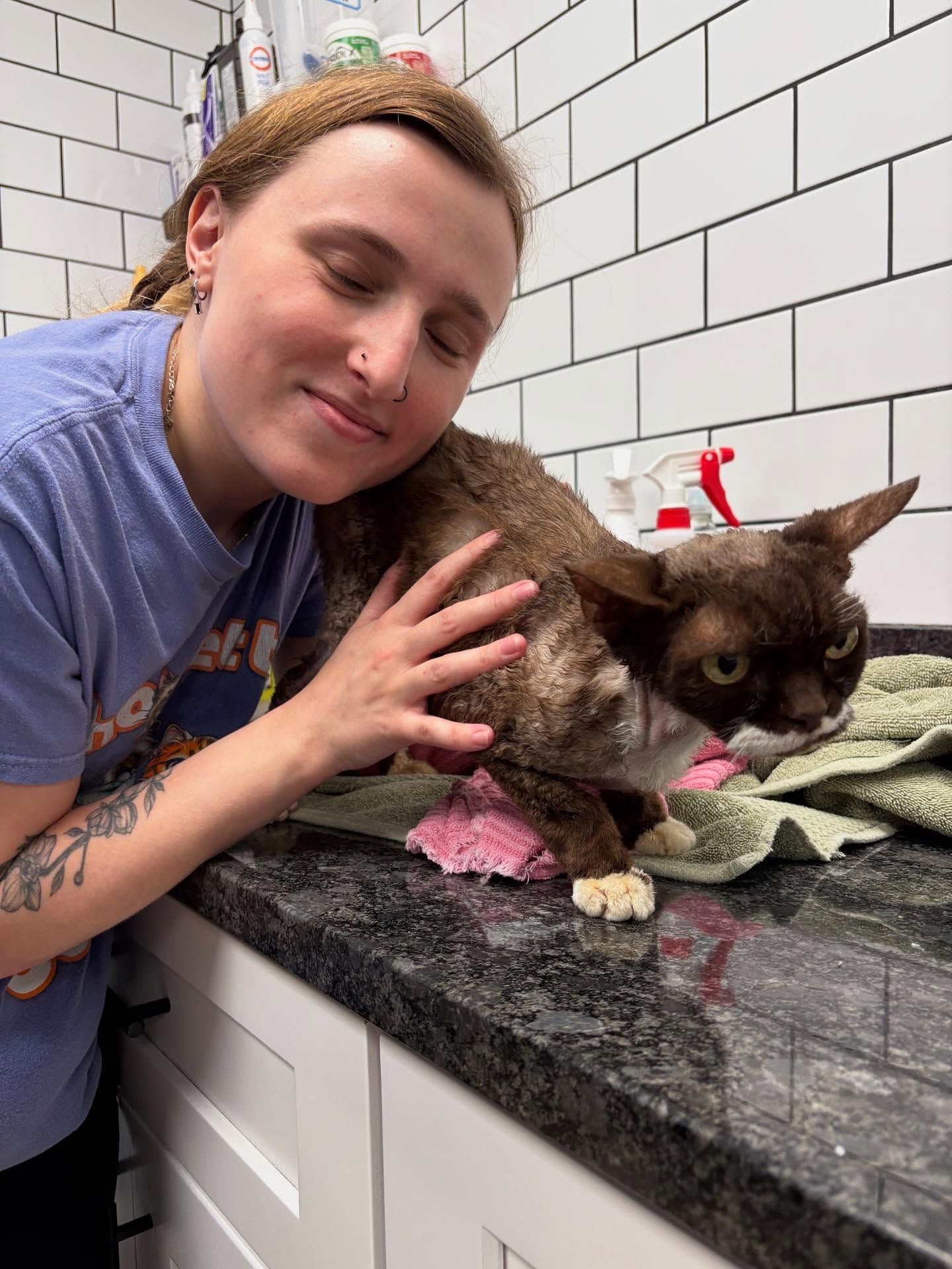Woman petting a brown cat on a countertop in a bathroom. Cat has a focused expression.