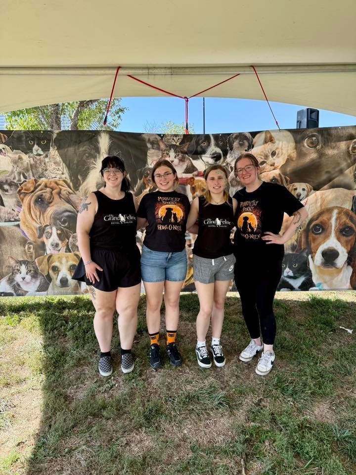 Four people in black shirts pose under a canopy with a dog-themed backdrop. They smile, on grass.