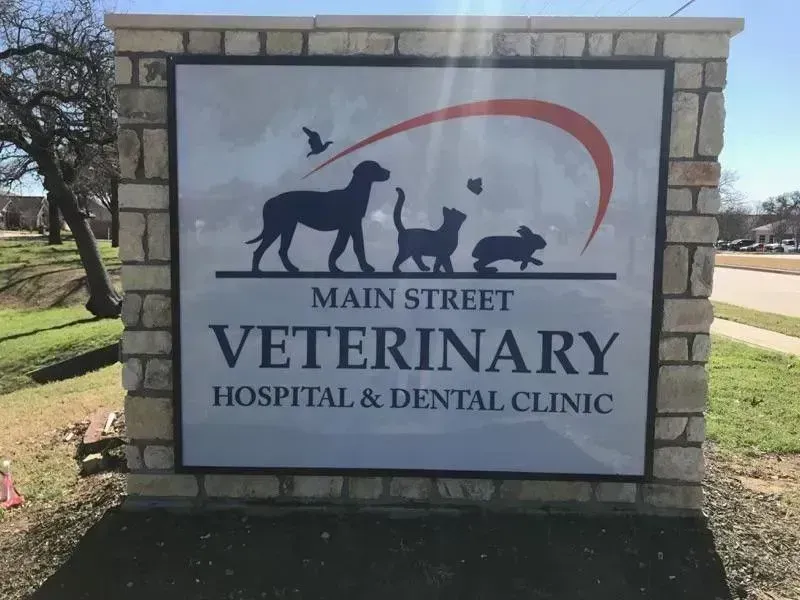 Main Street Veterinary Hospital & Dental Clinic sign with pet silhouettes on stone monument.