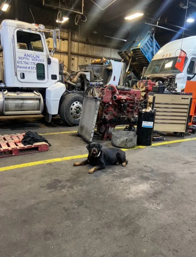 Rottweiler dog rests on a garage floor in front of semi-truck parts.