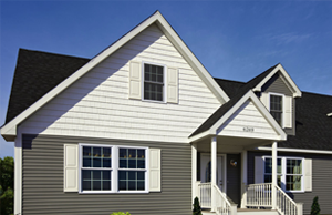 Vinyl Siding
