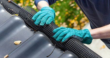 Gutter Cleaning