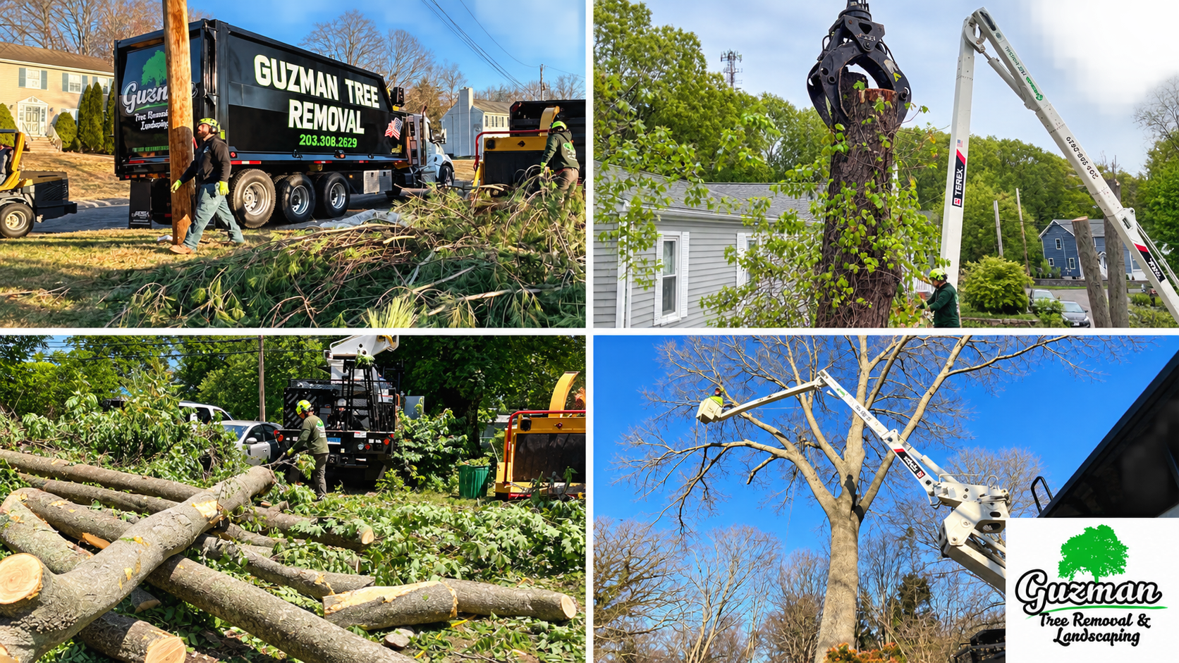 Tree service workers use a crane to remove fallen limbs near a branded truck and stacked logs.