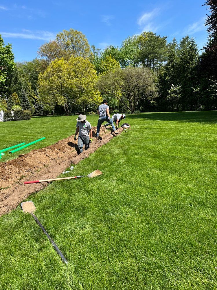 Workers installing edging along a dirt trench beside a green lawn in a sunny park